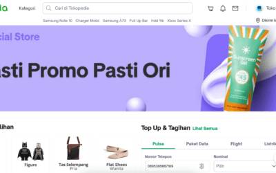 Perlukah Website Jika Sudah Ada Marketplace? Ini Jawabannya!
